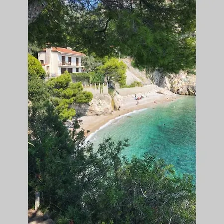 شقة Montecarlo View *